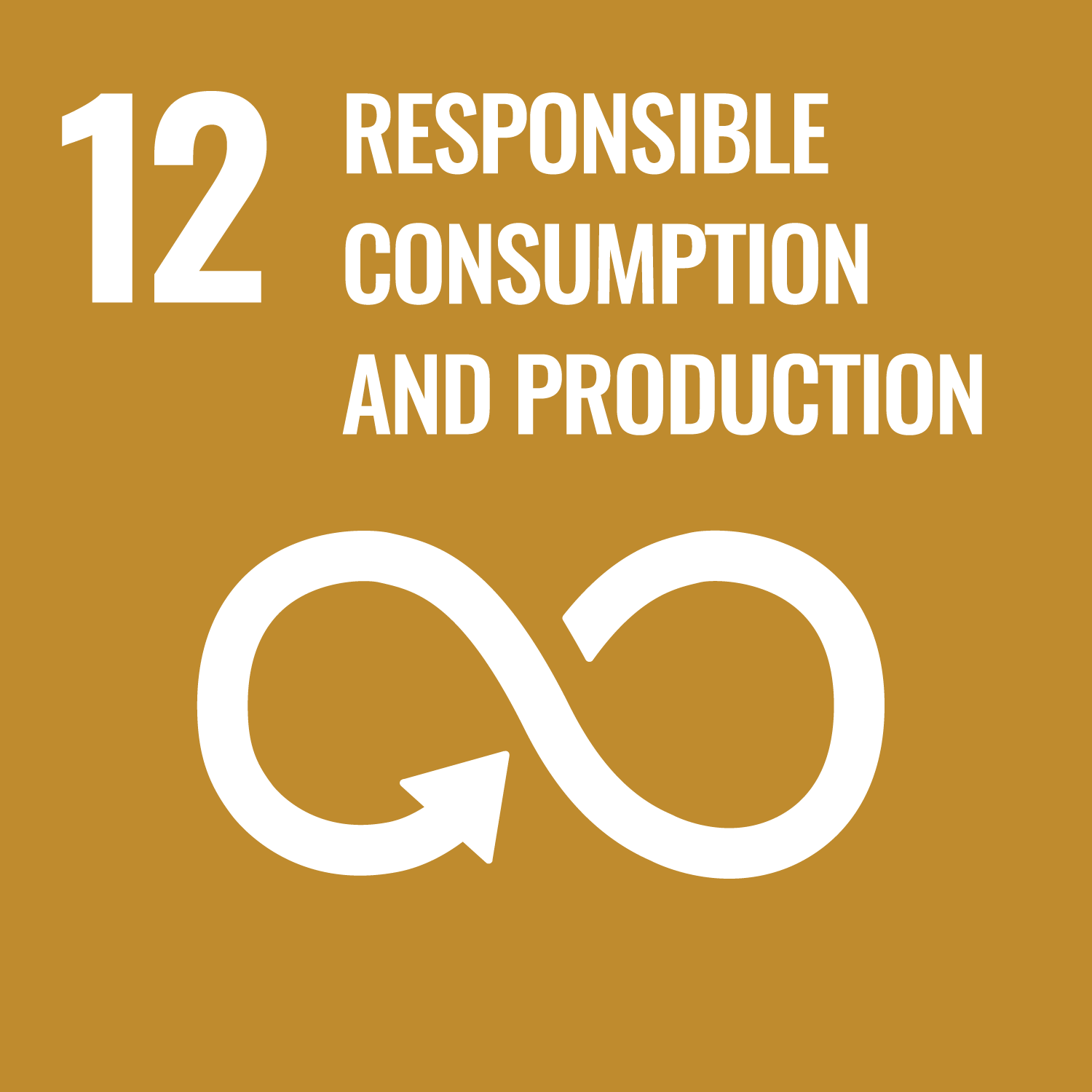 SDG goal 12 icon